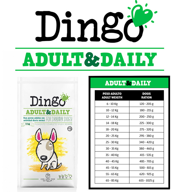 Dingo Tabla alimentación adult and daily