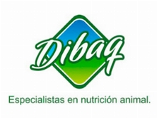 Dibaq Wet Dog Food
