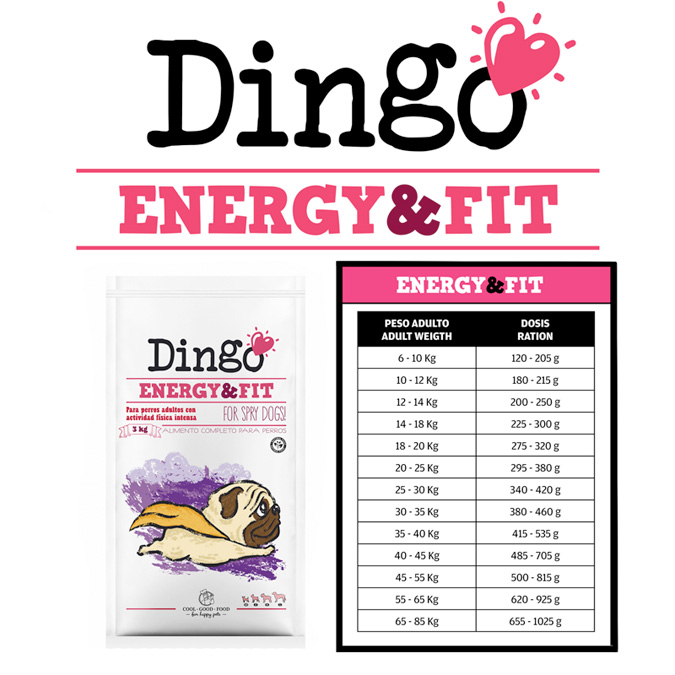 Resultado de imagem para Dingo Energy & Fit