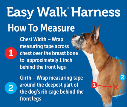 easy walk harness