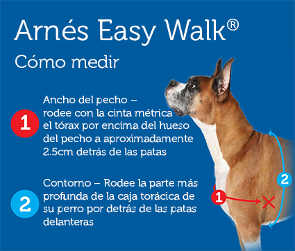 arnés easy walk