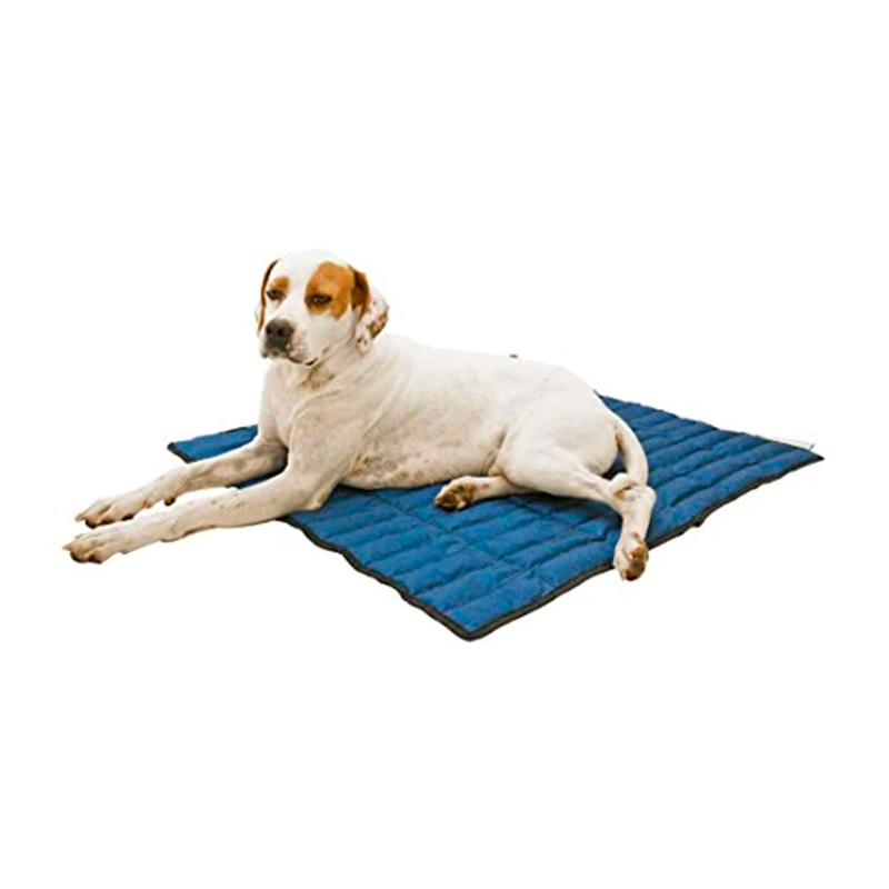 Arab zuiverheid Normaal ▷ Aqua Coolkeeper Cooling Bed 【 Dog 】