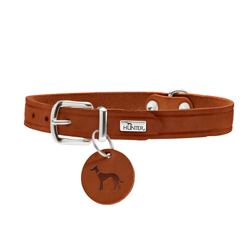Hunter Aalborg Brown Collar for Dogs