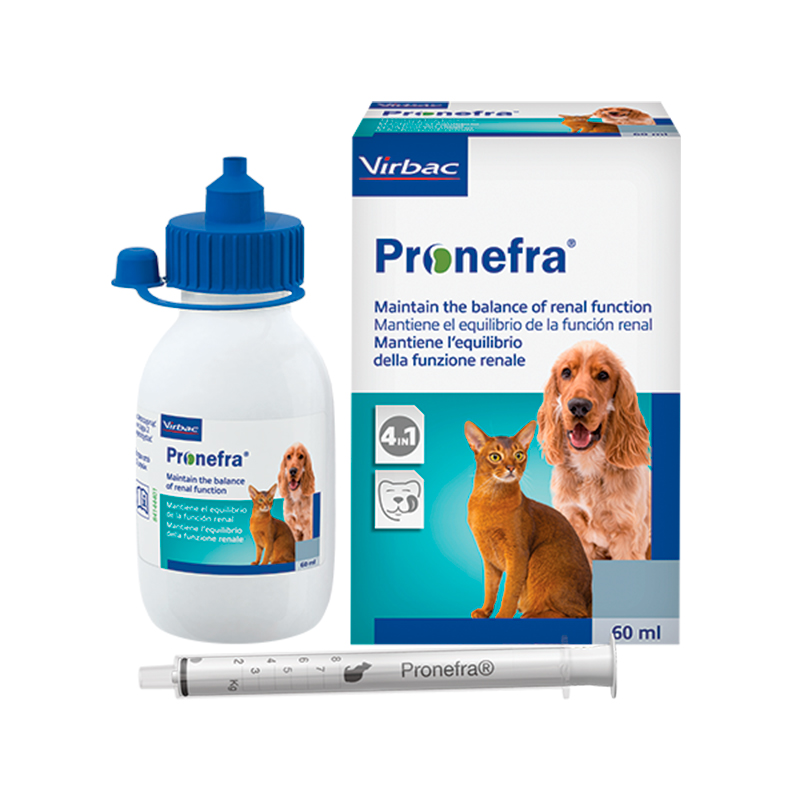 Pronefra kidney function in cats & dogs