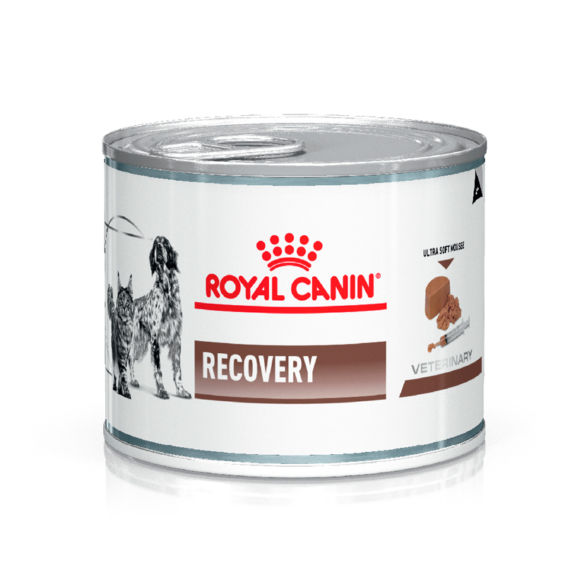 Royal Canin Recovery Can