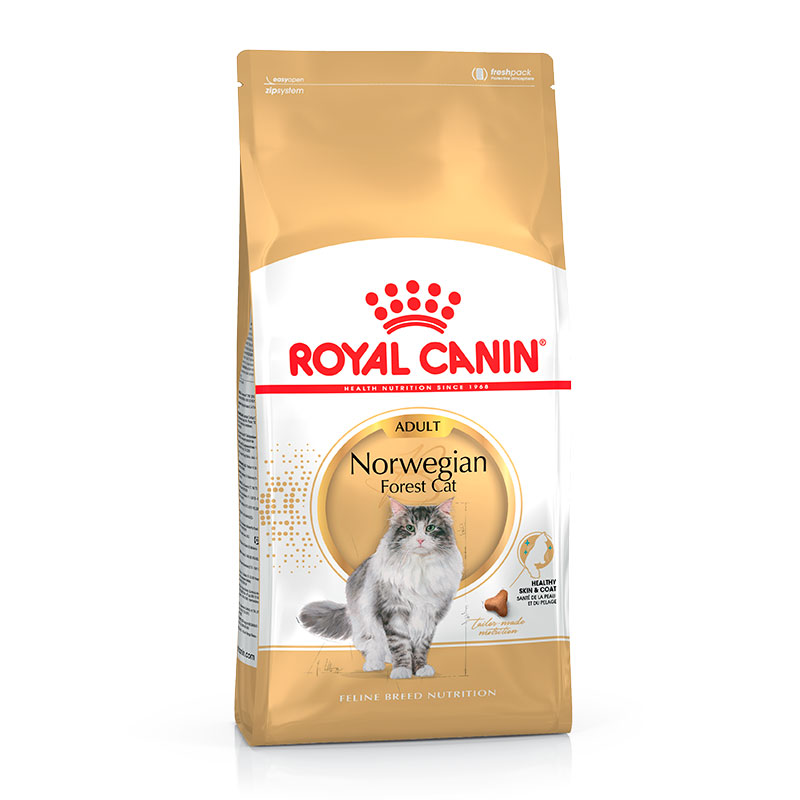 Royal Canin Cat Norwegian Forest