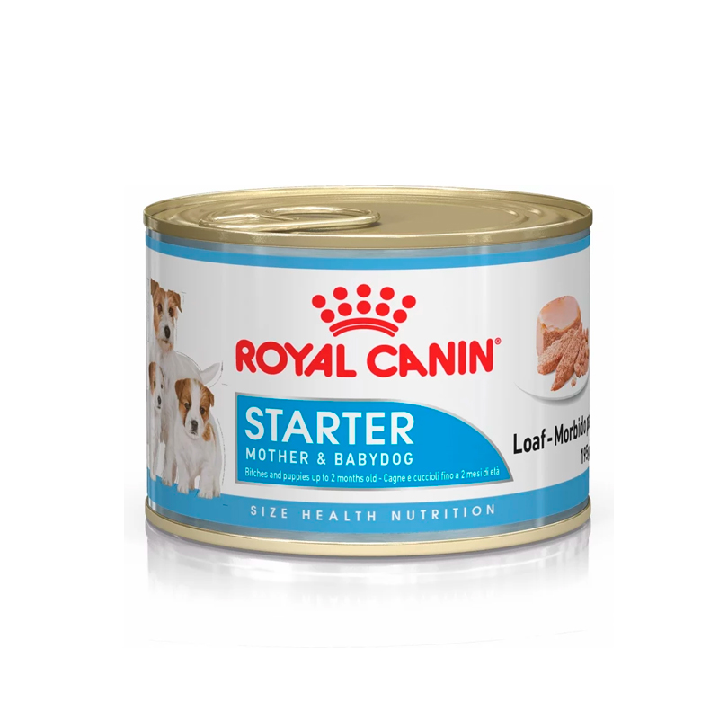 Royal Canin Starter Mousse Can