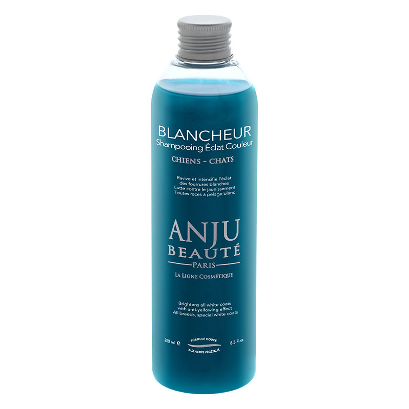 Anju Beauté Blancheur Shampoo Whitener