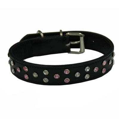 Collar Leather Monaco with Strass Black
