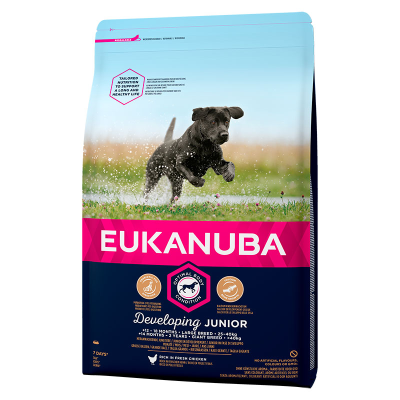 Eukanuba Junior Large Breed