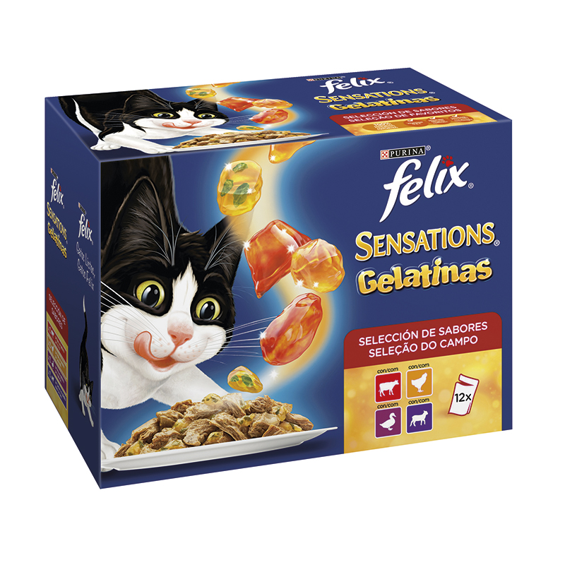 Felix Sensations Meats In Tasty Gelatin 12x100gr