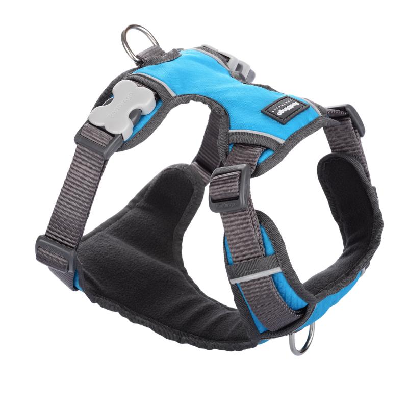 Red Dingo Petral Padded in Turquoise for Dogs