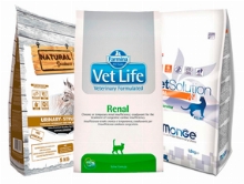Cat Food Diets and Veterinary