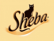 Sheba Cat Wet Food
