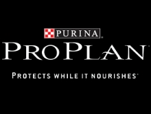 Pro Plan Dog Food