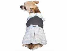 Fashion Coats for Dogs