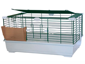 Rodent Cages