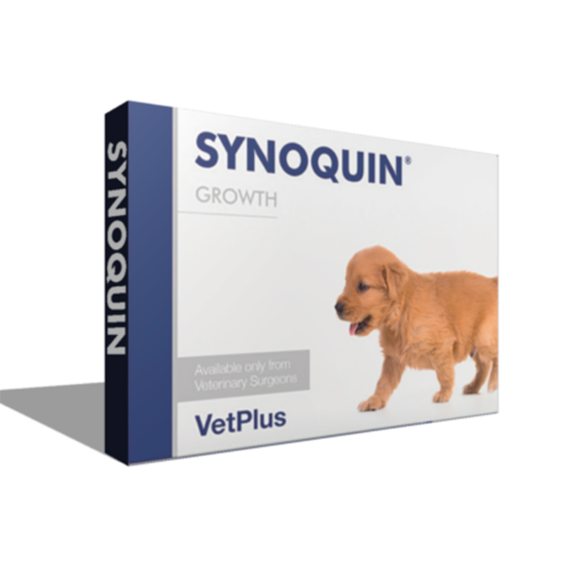VetPlus Chondroprotector Synoquin Growth for Puppies